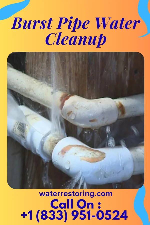 Burst Pipe Water Cleanup in Epworth, IA